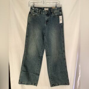 PacSun Casey Dark Tint Low Rise Baggy Jeans Size 24 NWT